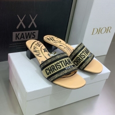 Christian Dior Slippers